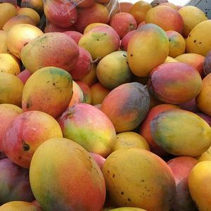 Meet your Posher, Beatriz